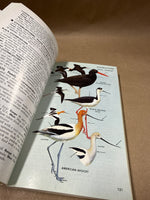 (A) Assorted Lot Of Bird Books