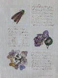 Print of Purple Dried Flowers by Maureen Love; Signed (B)