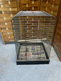Bird Cage (A)