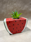 Watermelon Planter With Faux Cactus