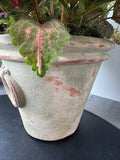 Faux Greenery in Textured Terracotta Pot