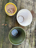 P-Lot of Decorative Planters