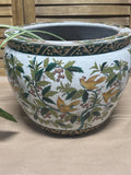 Asian Fish Bowl Planter with LIVE Plant