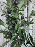 Faux Olive Tree in Spray Wreath