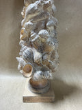 Seashell Tree