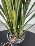 Artificial Lily Grass in Plastic Pot