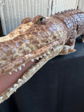 Sunny & Co. Large Plush Alligator