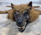 Faux Werewolf Lights & Sounds “Bear” Rug (WORKS)