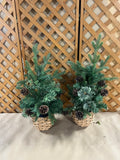 Pair of Faux Christmas Trees with Pinecones in Baskets, 26"H