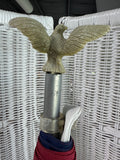 Sentinel in American Flag on Pole with Eagle