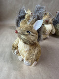 6 Piece Raz Imports Squirrel Ornaments