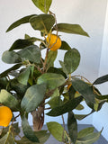 Artificial Lemon Tree in Resin Pot