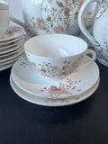 15-piece LS&S Carlsbad Austria Peach Floral Porcelain Tea Set