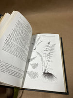 Roger Tory Peterson Field Guides — Ferns Cobb