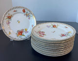 10-Piece Tirschenreuth Bavaria 3810 Old Meissen Floral Salad Plates