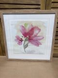Pink Poppy Print by Cynthia Coulter; Signed