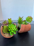 Pair of Artificial Succulent Arrangements in Tipped Resin Pots