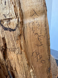 Artist Signed Hand Carved Grizzly Bear on Wooden Stump