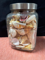 Jar Full of Shells