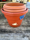 Lot of Six Plastic Planters