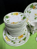 (J) 52-Piece Villeroy & Boch Germany 1748 Geranium Porcelain China Set