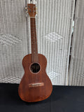 (B) Vintage 4-String Ukelele