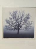 Awakening Print by Richard Calvo; Signed