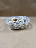Seashell Lot (C)