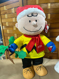 Charlie Brown  & Snoopy Holiday Greeters, 24"H. Tags still on.