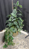 Artificial Ficus Tree with Greenery in Basket Planter