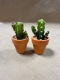 Pair Of Mini Artificial Cactus Plants