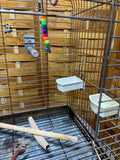 Bird Cage (B) with Stand, On Casters
