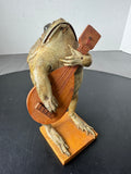 Taxidermy Folk Art Frog Holding Guitar