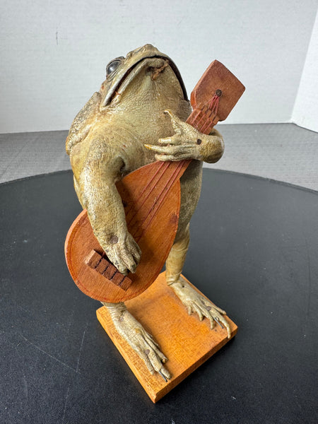 Taxidermy Folk Art Frog Holding Guitar