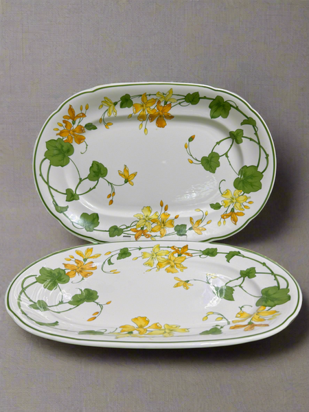 (I) 2-Piece Villeroy & Boch Germany 1748 Geranium Porcelain China Platters