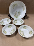 Set Of 5 Silesia Reinhold Schlegelmilch Floral Bowls