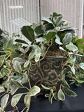 Pair of Faux Greenery in Embossed Tin Planters