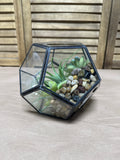 Hexagon Terrarium With Faux Succulents