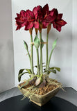 Large Faux Amaryllis Floral Arrangement