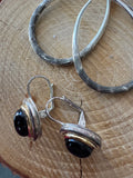 (G) Pair of Silver Tone Earrings