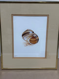 (C) Shell Print; Signed & Numbered Artist - Lee Caltagirone