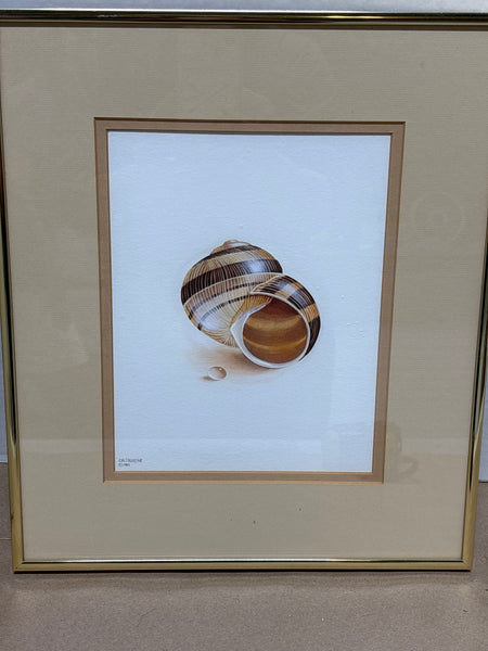 (C) Shell Print; Signed & Numbered Artist - Lee Caltagirone