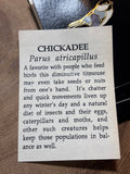 Small Chickadee Pin