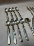 18 Piece Nickeleronzed Flatware With Case