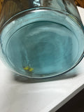 Tall Teal Blue Color Glass Vase