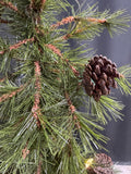 4FT Faux Fur Tree with Pine Cones & Star Lights (WORKS)
