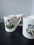 4-Piece Portmeirion Garden Botanic Coffee Mugs
