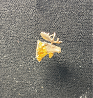 Silver/Gold Tone Moose Pin