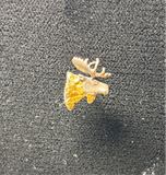 Silver/Gold Tone Moose Pin