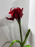 Artificial Amaryllis Flower In Urn